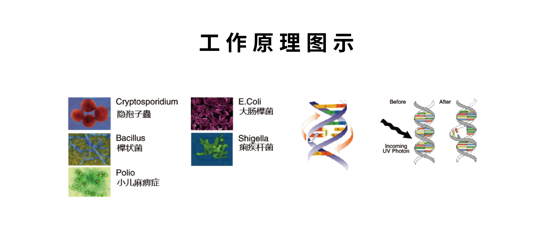 UVC杀菌装置
